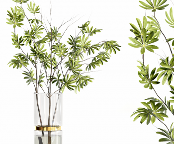 Modern Aquatic Green Plant-ID:176373004