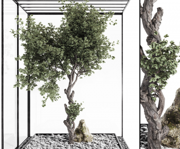 Modern Tree-ID:229119068