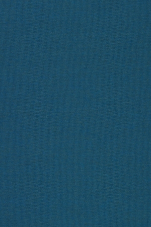 现代纯色粗布-ID:6375691