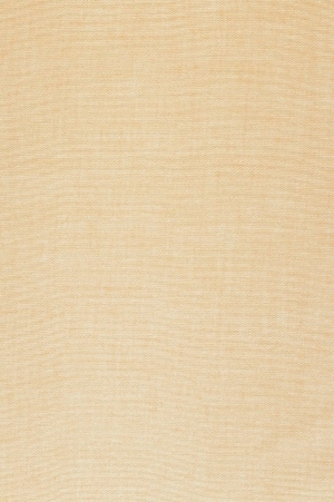 现代纯色粗布-ID:6375822