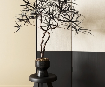 现代黑色花瓶盆栽树-ID:884556069