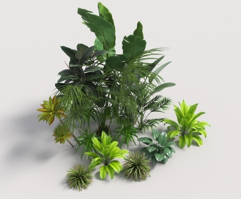 现代庭院灌木绿植堆-ID:954039104
