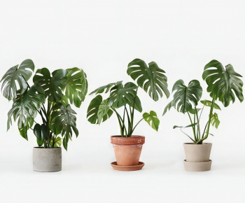 Modern Potted Green Plant-ID:716728939