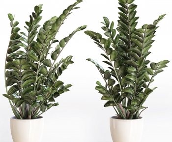Modern Ground Green Plant Potted Plants-ID:182413108