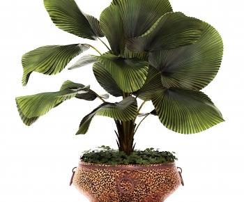 Modern Ground Green Plant Potted Plants-ID:284830097