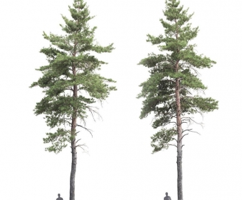 Modern Tree-ID:799028917