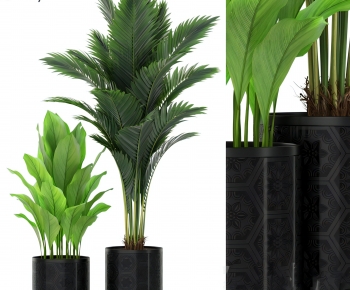 Modern Ground Green Plant Potted Plants-ID:572936064