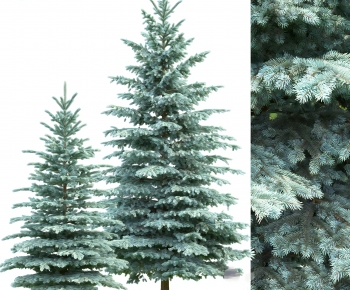 Modern Tree-ID:800519944