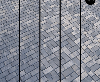 Modern Garden-ID:558823111