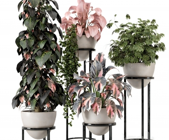 Modern Ground Green Plant Potted Plants-ID:967480908