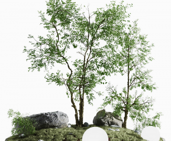 现代景观植物小品-ID:102269689