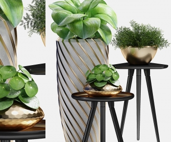 Modern Potted Green Plant-ID:762712967