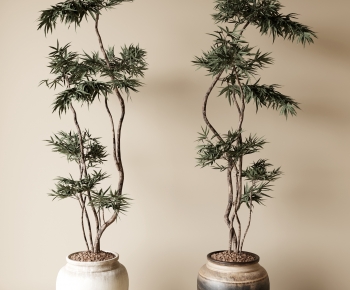 Modern Ground Green Plant Potted Plants-ID:148207904