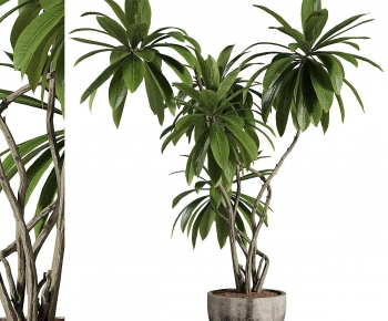 现代落地绿植盆栽-ID:499919891