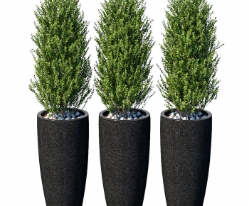 Modern Ground Green Plant Potted Plants-ID:525527958