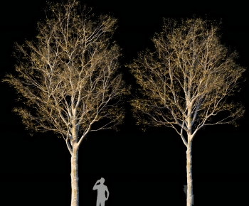 Modern Tree-ID:779495956