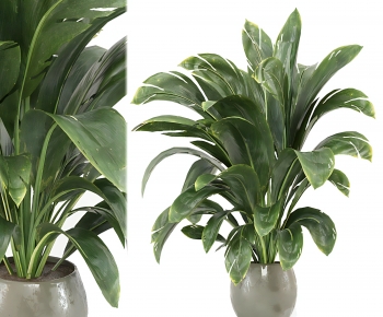 Modern Ground Green Plant Potted Plants-ID:420855055