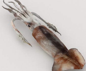 Modern Aquatic Product-ID:315458067