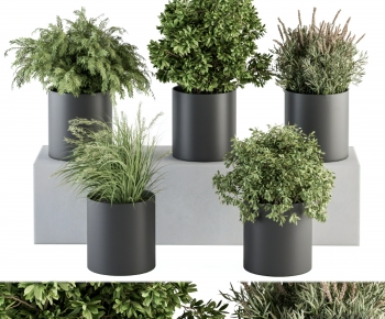 现代绿植盆栽组合-ID:752545126