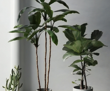 Modern Ground Green Plant Potted Plants-ID:694837092