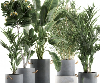 Modern Ground Green Plant Potted Plants-ID:388729106