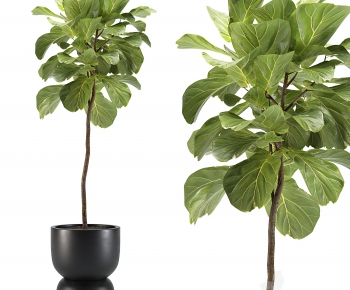 Modern Ground Green Plant Potted Plants-ID:654664046