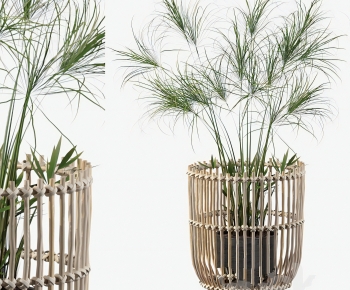 Modern Ground Green Plant Potted Plants-ID:656485085