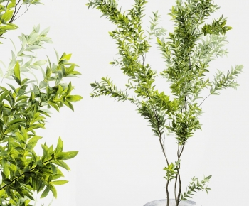 Modern Ground Green Plant Potted Plants-ID:888746984