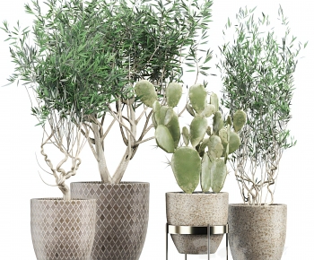 Modern Ground Green Plant Potted Plants-ID:903502944