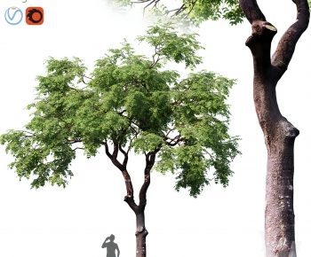 Modern Tree-ID:431050067