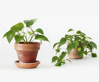 Modern Potted Green Plant-ID:376765978