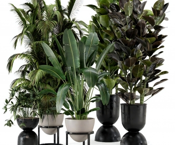 Modern Ground Green Plant Potted Plants-ID:166037085