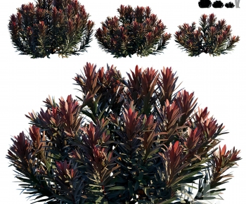 现代灌木绿植组合-ID:301783089
