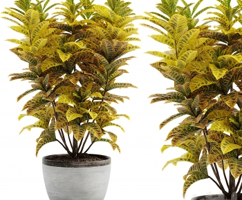 Modern Ground Green Plant Potted Plants-ID:408108003