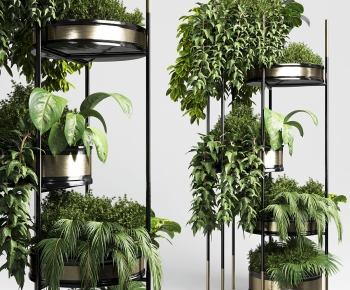 Modern Chlorophytum Comosum-ID:258327966