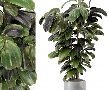 现代落地绿植盆栽-ID:368735073