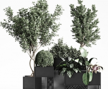 Modern Ground Green Plant Potted Plants-ID:948935994