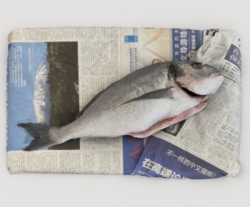 Modern Aquatic Product-ID:171726945