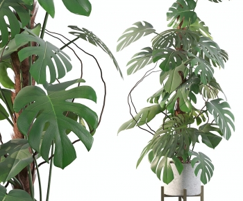 Modern Ground Green Plant Potted Plants-ID:534271007