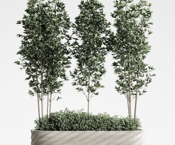 Modern Flower Bed, Flower Bowl, Flower Box-ID:938819897