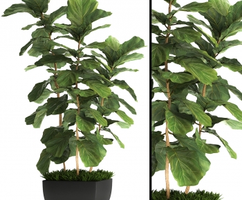 Modern Ground Green Plant Potted Plants-ID:866723063