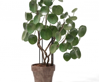 Modern Ground Green Plant Potted Plants-ID:301743982
