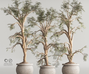 Modern Ground Green Plant Potted Plants-ID:678698062