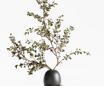 Modern Aquatic Green Plant-ID:701057915