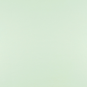 纯色壁纸-ID:463196043