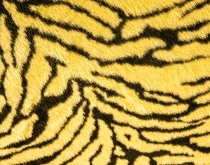 动物毛毯-ID:6379940
