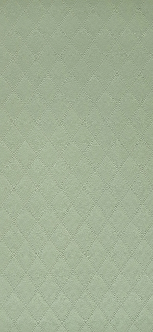 细纹皮革-ID:6380037