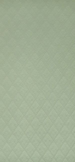 细纹皮革-ID:6380043