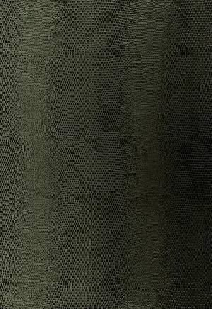 细纹皮革-ID:6380187