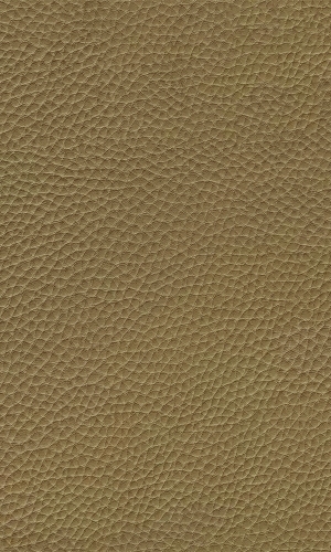 细纹皮革-ID:6380406